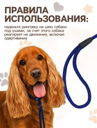 Ринговка для собак, 150×0.6 см, с вертлюгом, синяя, чёрная - Фото 3