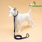 Ринговка для собак, 150×0.6 см, с вертлюгом, синяя, чёрная - Фото 4