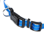 Ошейник светоотражающий "Неон", ширина 2,5 см, синий - Фото 3