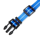 Ошейник светоотражающий "Неон", ширина 2,5 см, синий - Фото 4