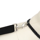 Поводок с универсальной ручкой-креплением, ширина 2.5 см, чёрный - Фото 9