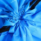 Сумка для обуви «ArtFox study», болоньевый материал, цвет голубой, 41х31 см - фото 6981290