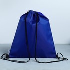 Сумка для обуви «ArtFox study», болоньевый материал, цвет синий, 41х31 см - фото 6981316