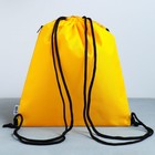 Мешок для обуви «Учусь на 5!» (с карманом) 41×31 см - Фото 8