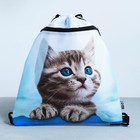 Мешок для обуви «Милый котик» (с карманом) 41×31 см - Фото 2