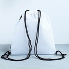 Мешок для обуви «Милый котик» (с карманом) 41×31 см - Фото 3