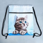 Мешок для обуви «Милый котик» (с карманом) 41×31 см - Фото 7