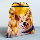 Мешок для обуви «Забавный корги» (с карманом) 41×31 см - Фото 2