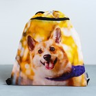 Мешок для обуви «Забавный корги» (с карманом) 41×31 см - Фото 3