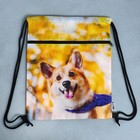 Мешок для обуви «Забавный корги» (с карманом) 41×31 см - Фото 8