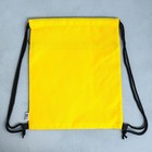 Мешок для обуви «Забавный корги» (с карманом) 41×31 см - Фото 9