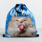 Сумка для обуви «Cat Bag», два вида ручек, 41х31 см - фото 6981422