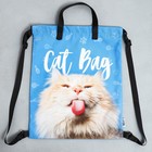 Сумка для обуви «Cat Bag», два вида ручек, 41х31 см - фото 6981426