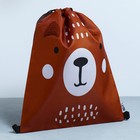 Мешок для обуви, Teddy Bear, (с дополнительными элементами) 41×31 см - Фото 2