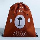 Мешок для обуви, Teddy Bear, (с дополнительными элементами) 41×31 см - Фото 3