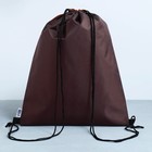 Мешок для обуви, Teddy Bear, (с дополнительными элементами) 41×31 см - Фото 4