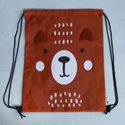 Мешок для обуви, Teddy Bear, (с дополнительными элементами) 41×31 см - Фото 7