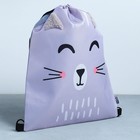 Мешок для обуви «Милый котик» (с дополнительными элементами) 41×31 см - Фото 2
