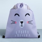 Мешок для обуви «Милый котик» (с дополнительными элементами) 41×31 см - Фото 3