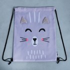 Мешок для обуви «Милый котик» (с дополнительными элементами) 41×31 см - Фото 7