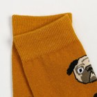 Носки "Собака", цвет горчица, размер 25-27 - Фото 3