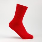 Носки, цвет красный, размер 23-25 - Фото 1