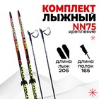 Комплект лыжный: пластиковые лыжи 205 см без насечек, стеклопластиковые палки 165 см, крепления NN75 мм, цвета МИКС - фото 320001648