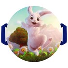 Санки-ледянки «Зайчик», d=40 см, цвета МИКС - Фото 2
