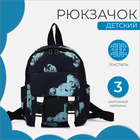 Рюкзак детский на молнии, цвет чёрный - фото 299940492