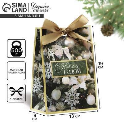 Пакет подарочный новогодний с лентой «С Новым годом», 13×19×9 см