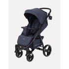 Коляска прогулочная Rant Basic Alpine, цвет graphite - фото 809488478