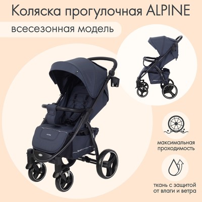 Коляска прогулочная детская Rant Basic Alpine, графит