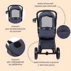 Коляска прогулочная Rant Basic Alpine, цвет graphite - фото 809488477