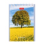 Блокнот А7, 40 листов в клетку на гребне "Великолепные пейзажи", обложка мелованный картон, МИКС (комплект 10 шт) - фото 22359292