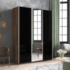 Шкаф-купе «Прайм», 2100×570×2300 мм, 3-х дверный, 2 чёрных стекла / зеркало, дуб табачный - Фото 1