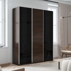 Шкаф-купе «Прайм», 2100×570×2300 мм, 3-х дверный, 2 чёрных стекла / ЛДСП, цвет венге - Фото 1