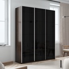 Шкаф-купе «Прайм», 1800×570×2300 мм, 3-х дверный, чёрное стекло, цвет венге - Фото 1