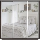 Шкаф-купе трёхдверный «Экспресс», с зеркалом, 2400×600×2400 мм, цвет венге - Фото 3