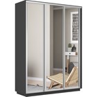 Шкаф купе «Экспресс», 2100×600×2400 мм, 3-х дверный, зеркало, цвет серый диамант - Фото 2