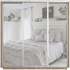 Шкаф купе «Экспресс», 2100×600×2400 мм, 3-х дверный, зеркало, цвет сонома - Фото 3