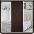 Шкаф купе «Экспресс», 2400×440×2400 мм, 3-х дверный, 2 зеркала / ЛДСП, цвет венге - Фото 3