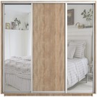 Шкаф купе «Экспресс», 2100×440×2200 мм, 3-х дверный, 2 зеркала / ЛДСП, цвет сонома - Фото 3