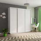 Шкаф-купе трёхдверный «Экспресс», 2400×600×2400 мм, ЛДСП, цвет белый снег - Фото 1