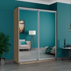 Шкаф купе «Широкий экспресс», 1800×440×2200 мм, 2-х дверный, зеркало, цвет сонома - Фото 1