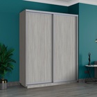 Шкаф купе двухдверный «Широкий экспресс», 1800×440×2200 мм, ЛДСП, цвет ясень шимо светлый - Фото 1