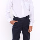 Школьные брюки для мальчика, цвет тёмно-синий, рост 170-176 см - фото 24399213