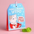 Леденцы в коробке «Идеальное утро», со вкусом мяты, 32 г. 9513557 - фото 9977645