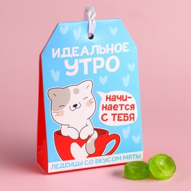 Леденцы в коробке «Идеальное утро», со вкусом мяты, 32 г. 9513557