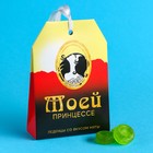 Леденцы в коробке «Принцессе», со вкусом мяты, 32 г. 9513561 - фото 10647201