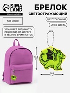 Светоотражающий элемент «Дракон», двусторонний, 5.3×5.8 см, МИКС - Фото 1